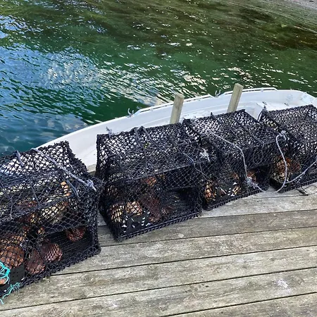 House By The Sea With Private And Jetty